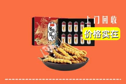 深圳市福田回收冬虫夏草